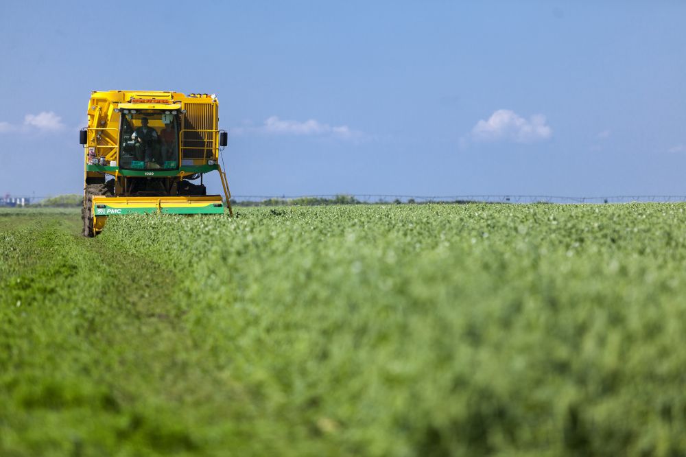 At the source of raw materials